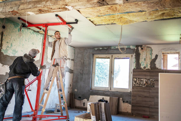 Best Cellulose Insulation in Molalla, OR